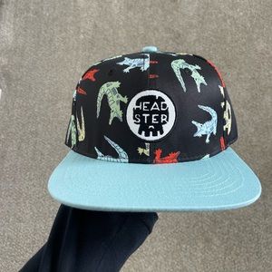 Headster Dinosaur Kids Hat NWT